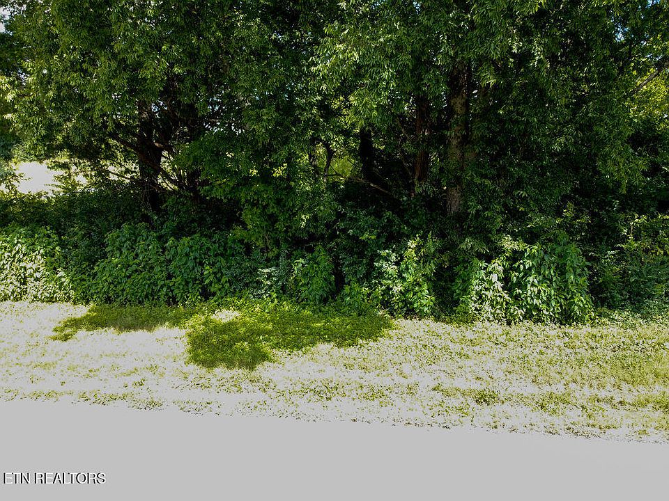 1st image of 158 County Road 436