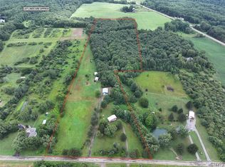 13849 Brewer Rd, Collins, NY 14034
