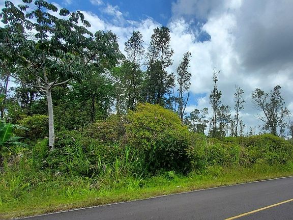 5th image of Tree Fern Dr Lot 12