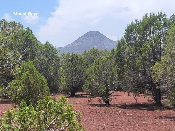67 Ranch Road #67, Williams, AZ 86046