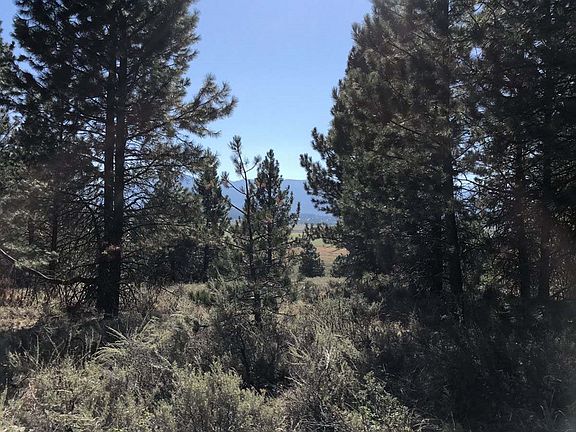 4th image of 56 Joshua Dr