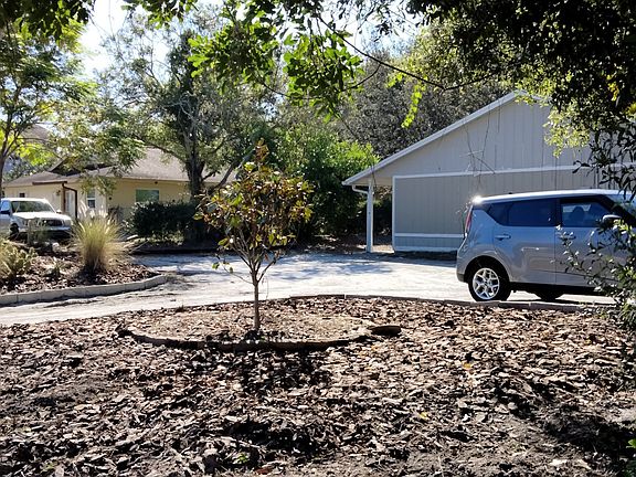 front yard - magnolia side