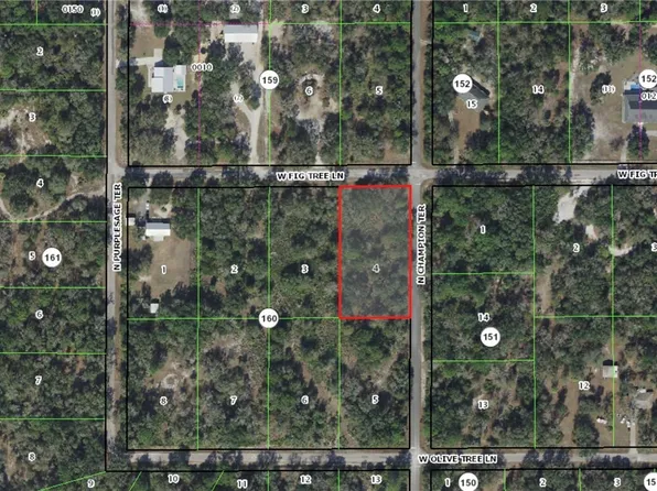 12076 W Fig Tree Ln, Crystal River, FL 34428