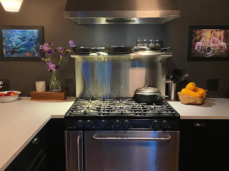 Pro gas range with industrial hood and baker's oven.