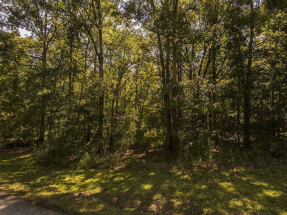 2nd image of 108 Fernbank Ln