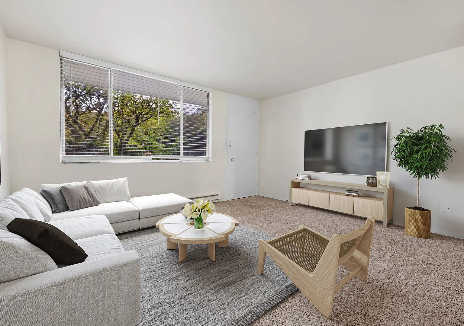 Walkable One-Bedroom Apartments Near the University of Washington — Photo 2
