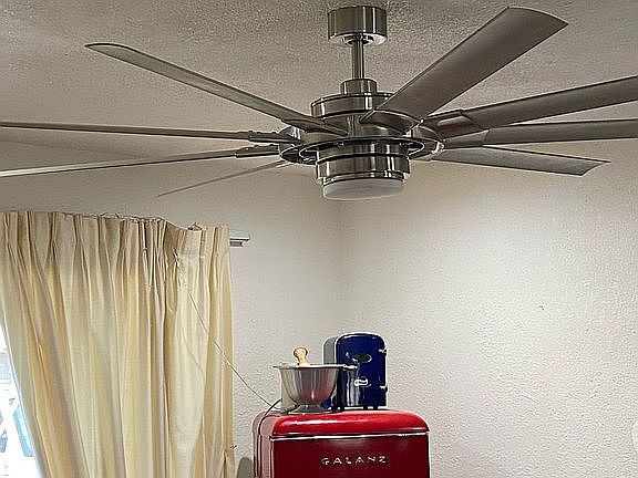 Dining room ceiling fan