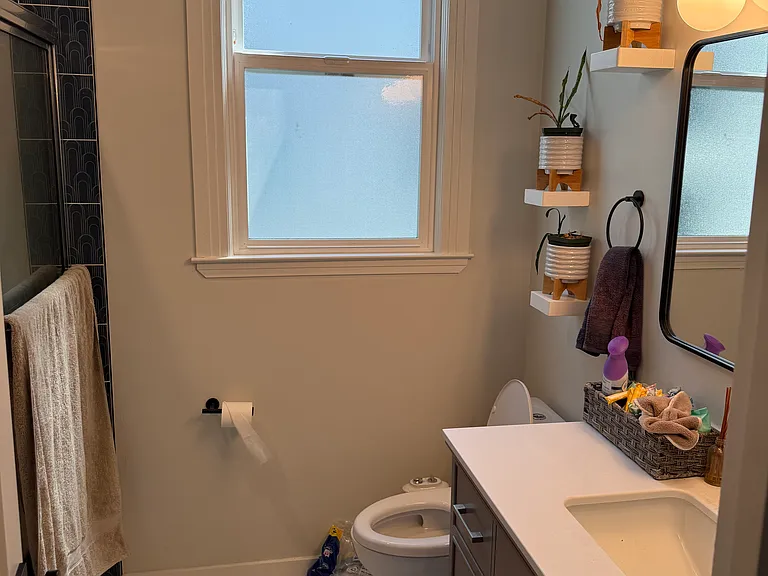 118 Albion St — Photo 6