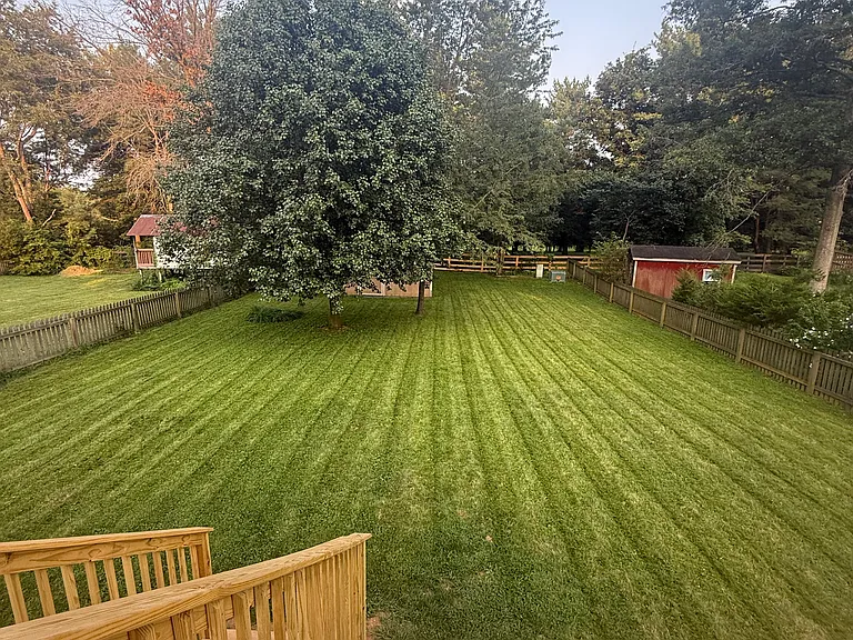 Overlooking backyard from deck off kitchen.