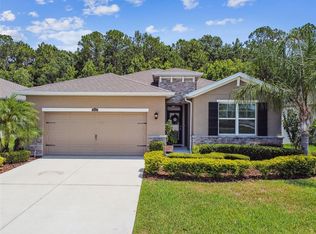 32825 Sand Creek Dr, Wesley Chapel, FL 33543