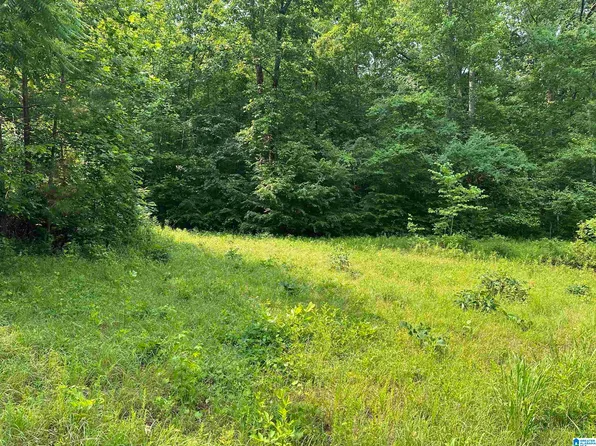 0 County Road 25 #Na, Heflin, AL 36264