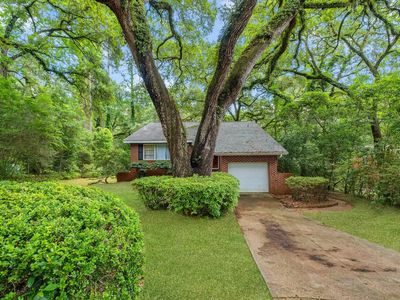 2003 Holly St, Tallahassee, FL, 32303