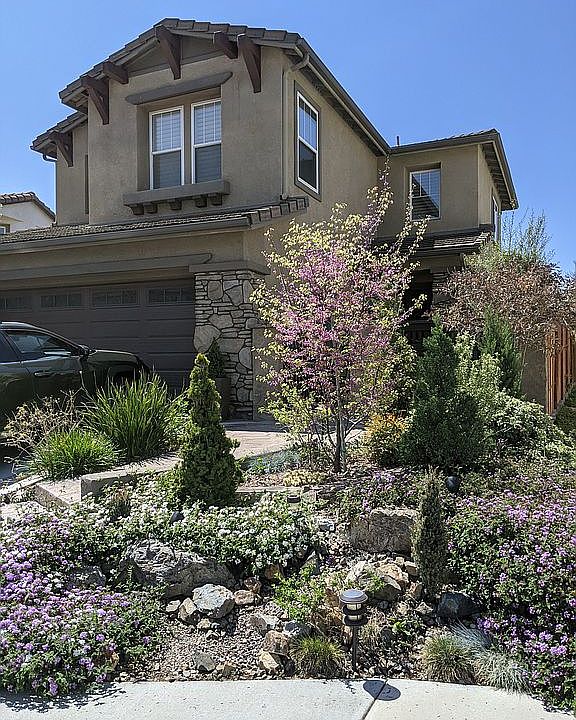 1st image of 1564 Black Walnut Dr