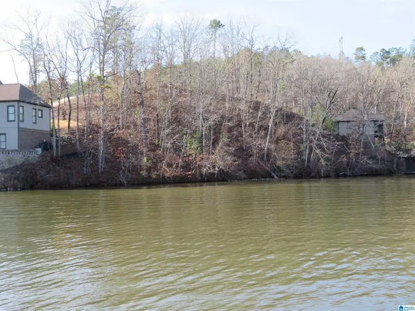LOT 11 Preserve Dr, Rockford, AL 35136