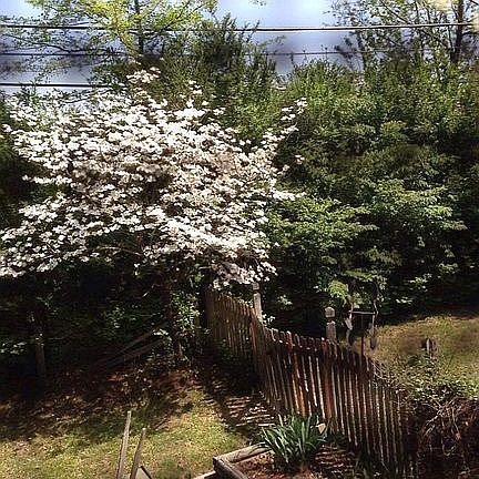 3rd image of 2302 N Hawthorn Dr