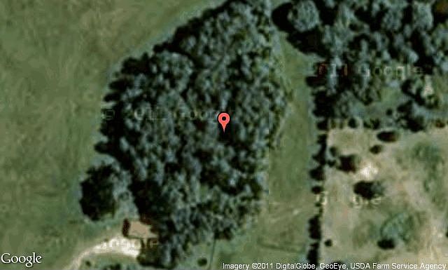 Map View