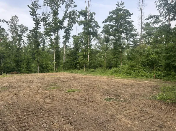 0 Annie Hollow Rd Lot 29, Westmoreland, TN 37186