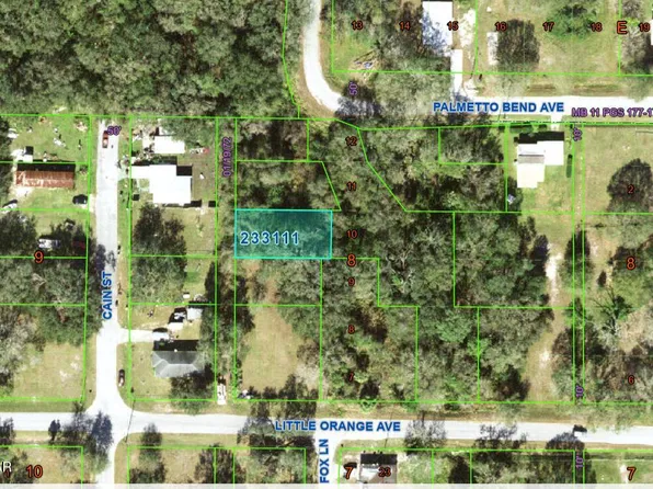 0 Little Orange Ave, Mulberry, FL 33860