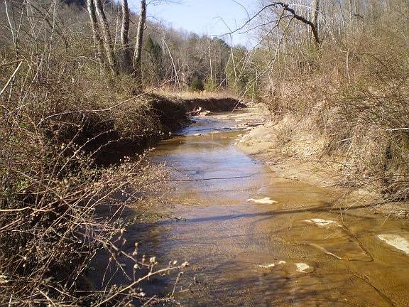 4th image of 250 Upper Craney Spur