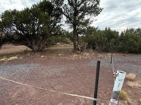 35 County Road 3044, Concho, AZ 85924