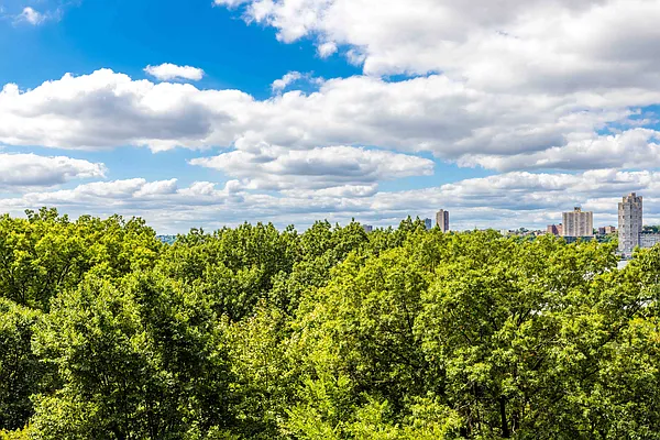 Rented by MNS | media 13