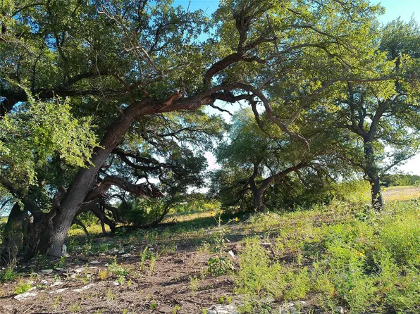 42 Serenity Dr, Bertram, TX 78605