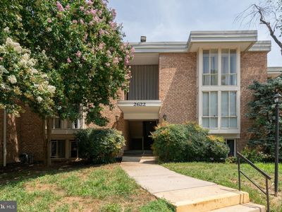 2622 Wagon Dr #316-2B, Alexandria, VA, 22303