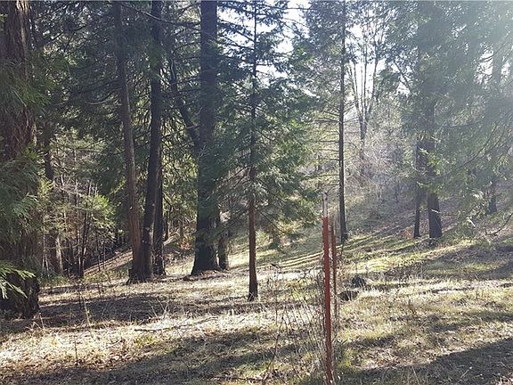 3rd image of 14726 Goldcone Dr