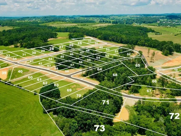 655811 Caswell Dr Lot 65, Greenback, TN 37742