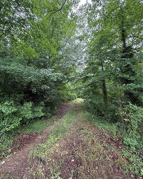 1st image of 0 Pine Ridge Rd