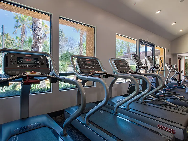 Bi-level fitness center fully equipped with a variety of cardio machines
