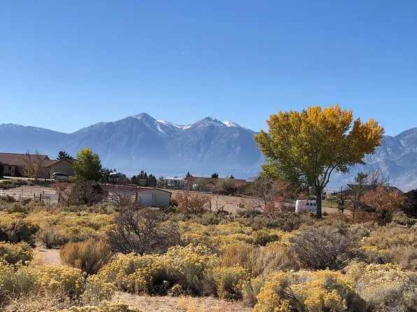 1737 Toni Ct, Minden, NV 89423