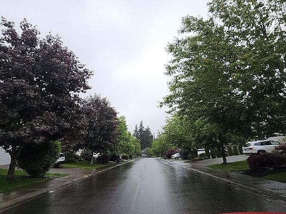 3rd image of 18106 113th St E