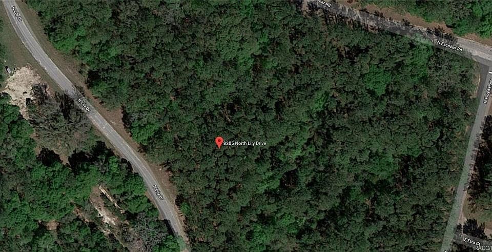1st image of 8205 N Lily Dr