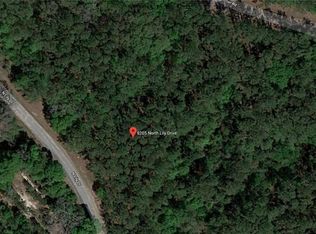 8205 N Lily Dr, Citrus Springs, FL 34434