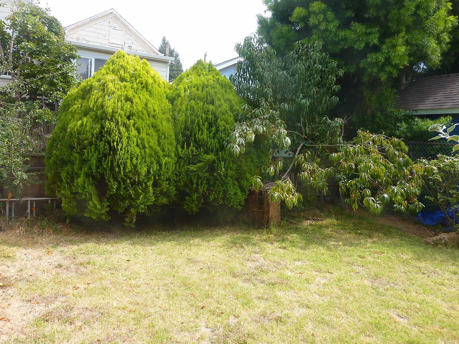 1 bed, 650 sqft, $2,850 — Photo 2