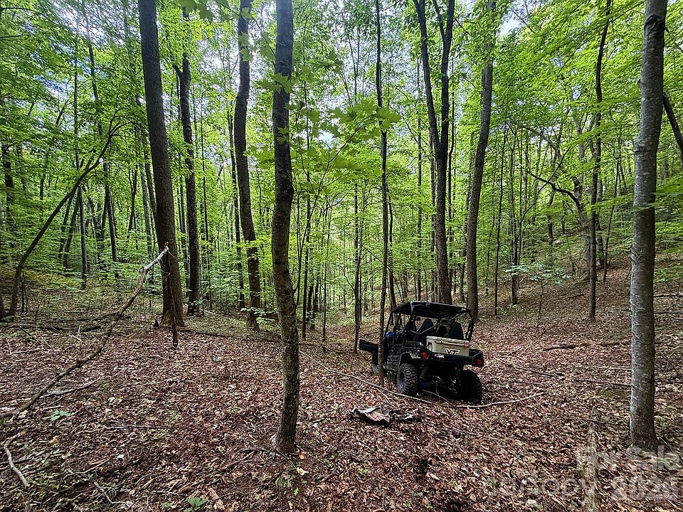 1st image of 7777 Saw Branch Rd