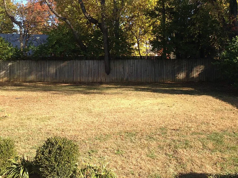 Large fenced back yard