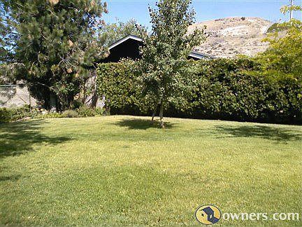Backyard with roof of shop in view