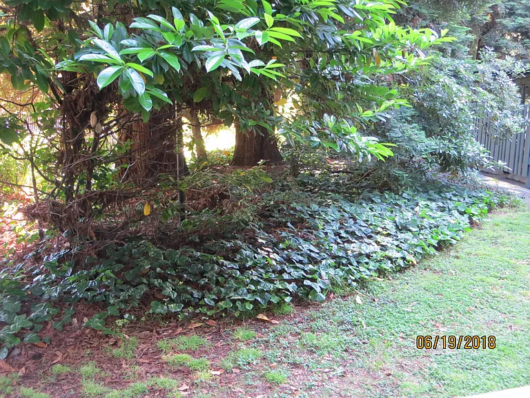 Garden and greenbelt area off patio.