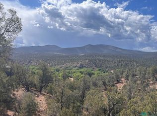 40 W Rivers Rd, Reserve, NM 87830