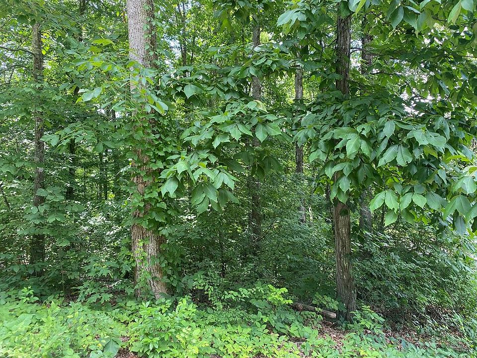 1st image of LOT 14 County Road 1121