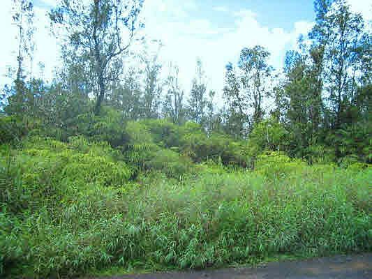 1st image of Road 9 Koloa Maoli Lot 5496