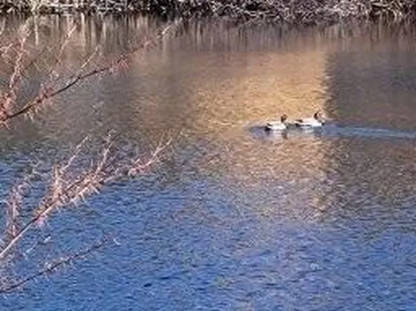 14 Arab Road, Lee, ME 04455