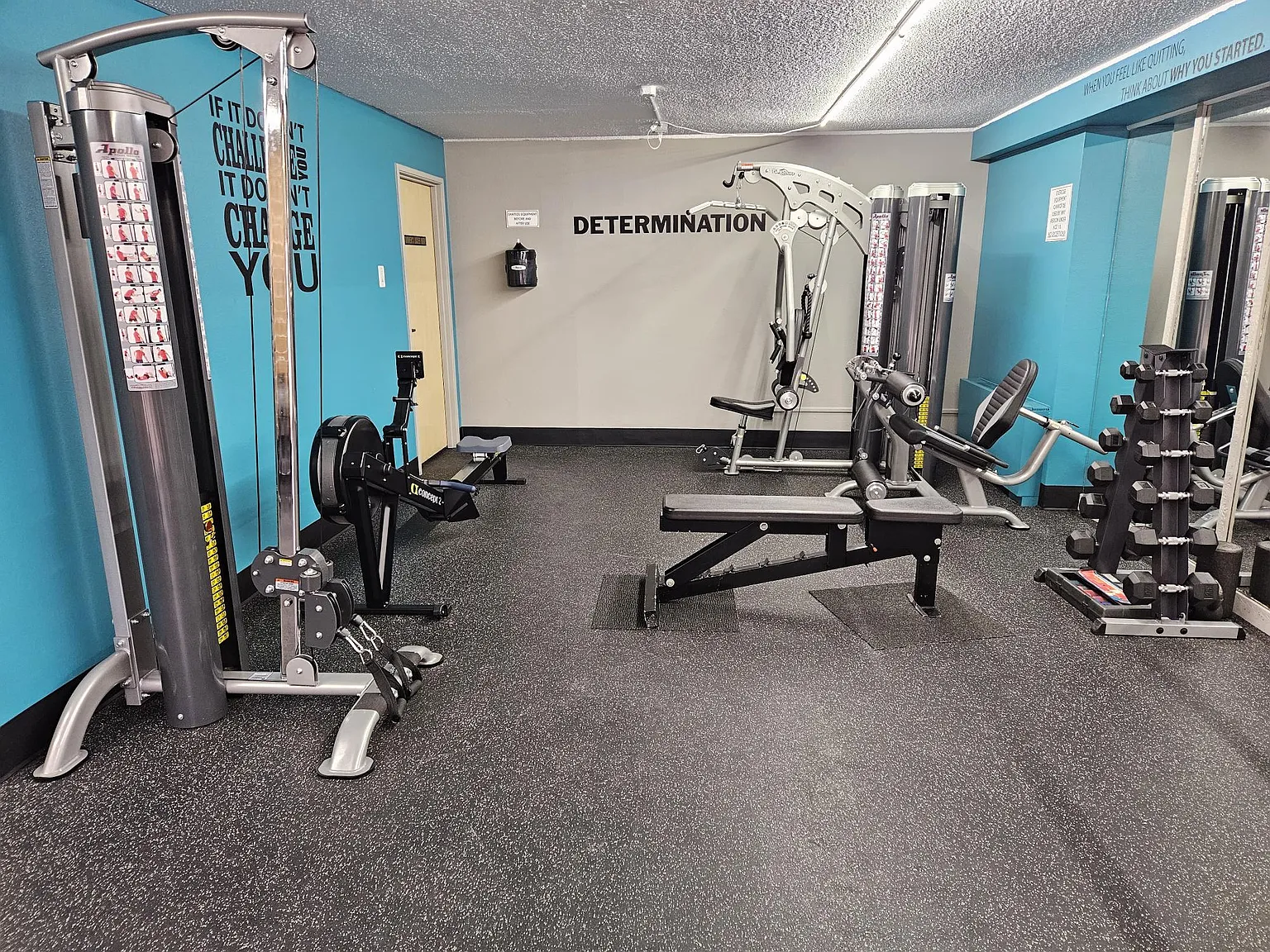 1 bed, 700 sqft, $1,245 — Photo 4