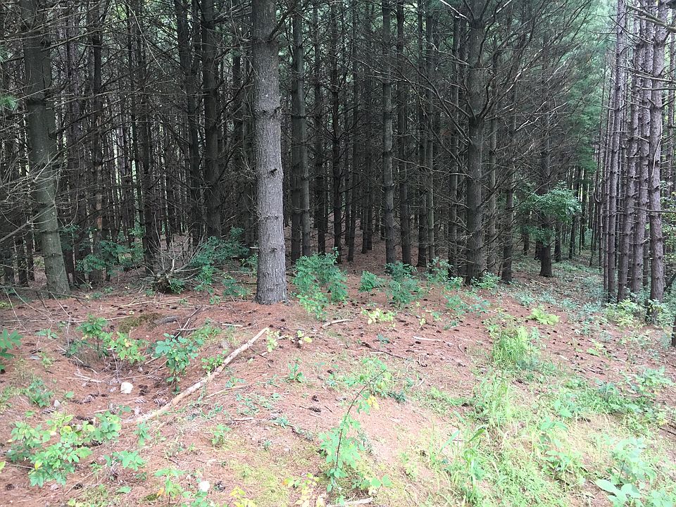 2nd image of 138TH Ave #4