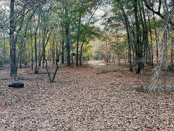 5th image of 0 Lovely Grove Church Rd