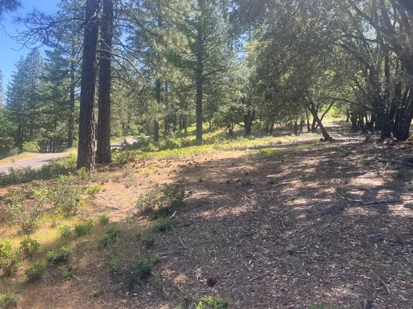 10311 Ponderosa Way, Pine Grove, CA 95665