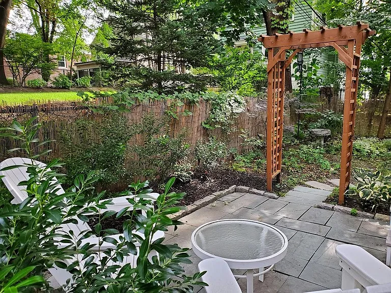 Back yard