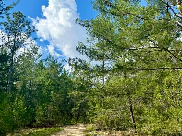 269 ALABAMA Drive, Hawthorne, FL 32640